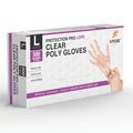 Xpose Safety Large Disposable Food Prep Poly Gloves PGL500-L-X
